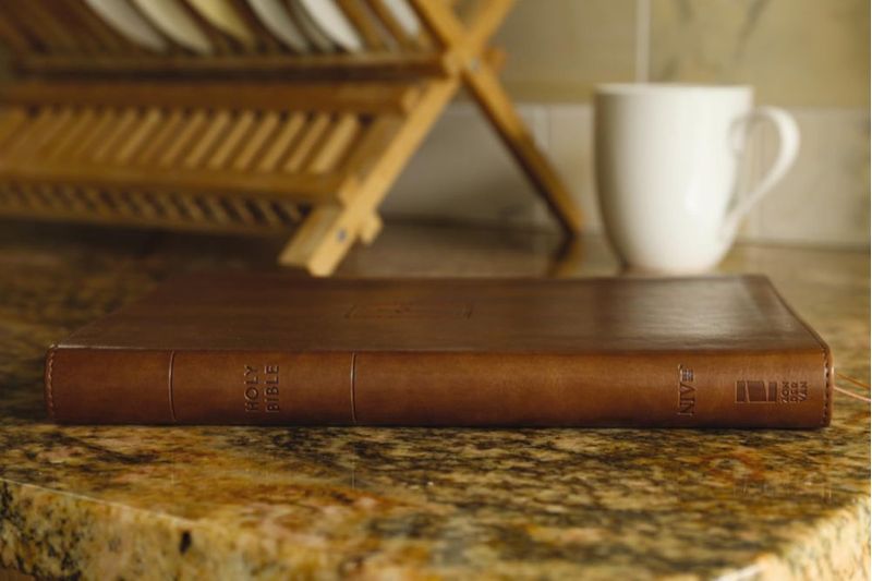 Biblia Zondervan NIV delgada de gran letra color marrón