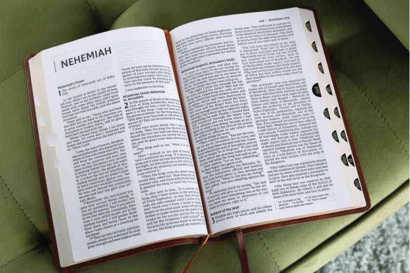 Biblia Zondervan NIV delgada de gran letra color marrón