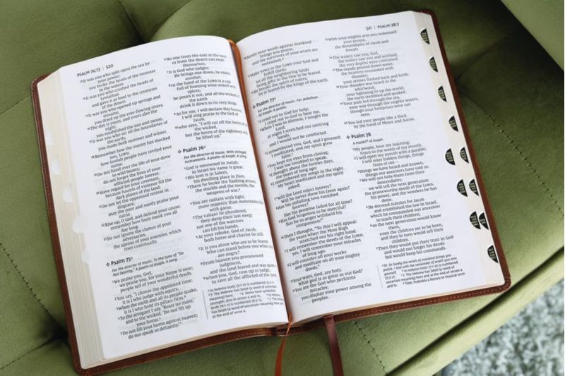 Biblia Zondervan NIV delgada de gran letra color marrón