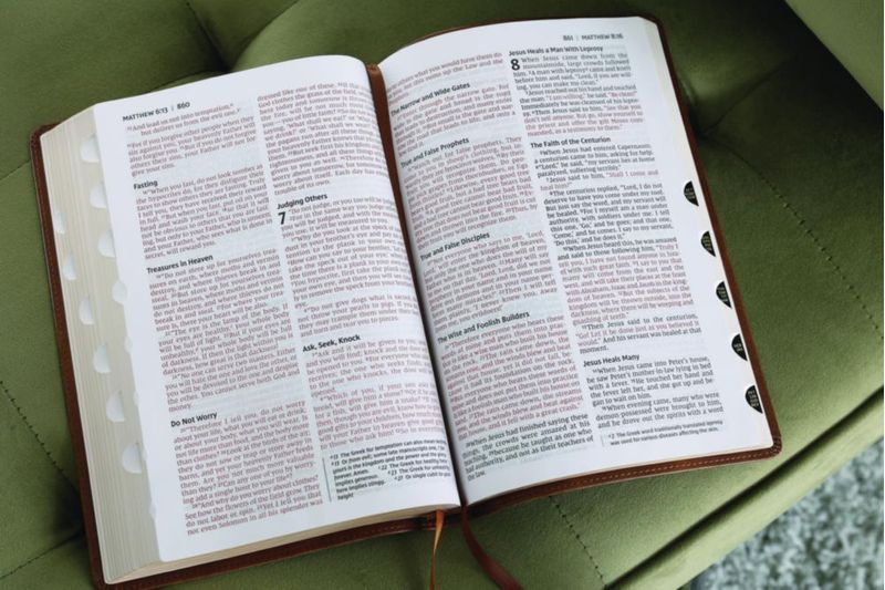 Biblia Zondervan NIV delgada de gran letra color marrón
