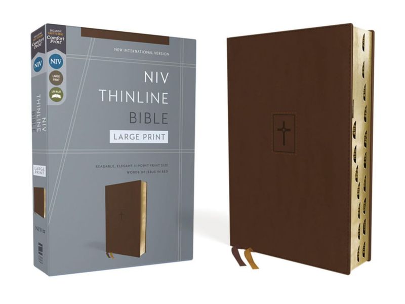 Biblia Zondervan NIV delgada de gran letra color marrón