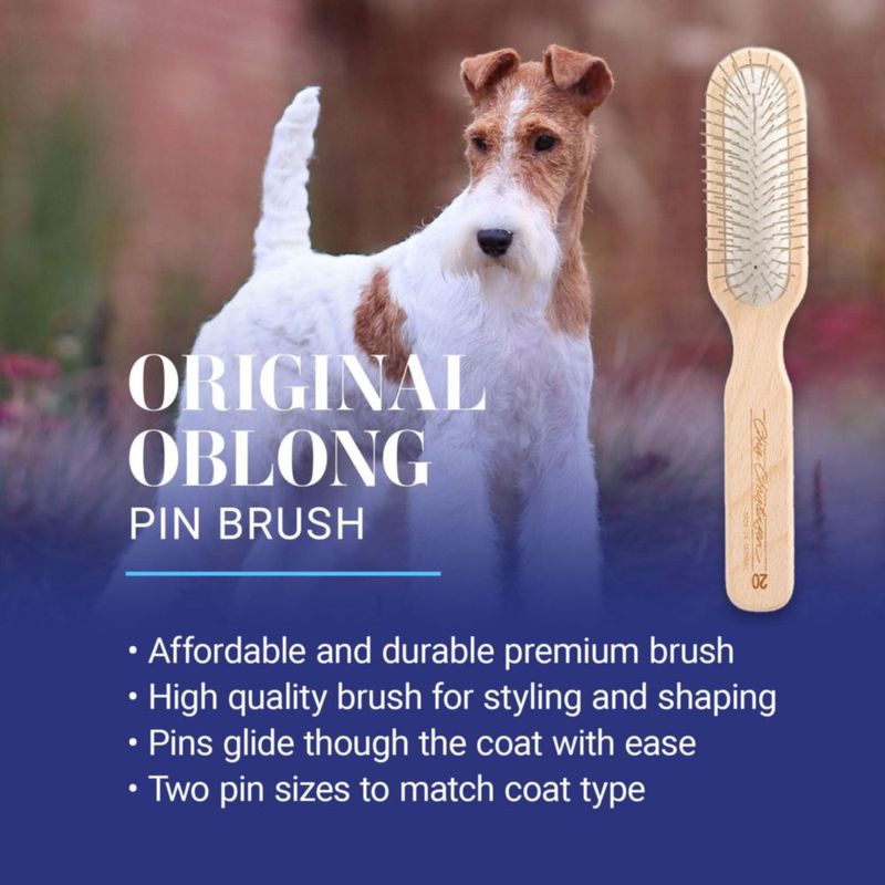 Cepillo para perros Chris Christensen 20 mm de pinchos de acero oblongo