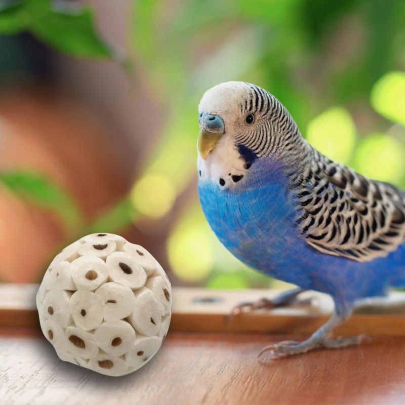 Juguetes para pájaros Mandarin 18 unidades - Bolas de sola de 38 cm