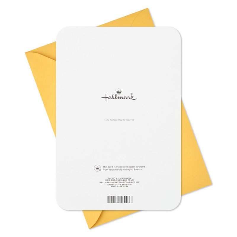 Tarjeta de Cumpleaños Hallmark 14 cm x 21 cm con Número Peludo
