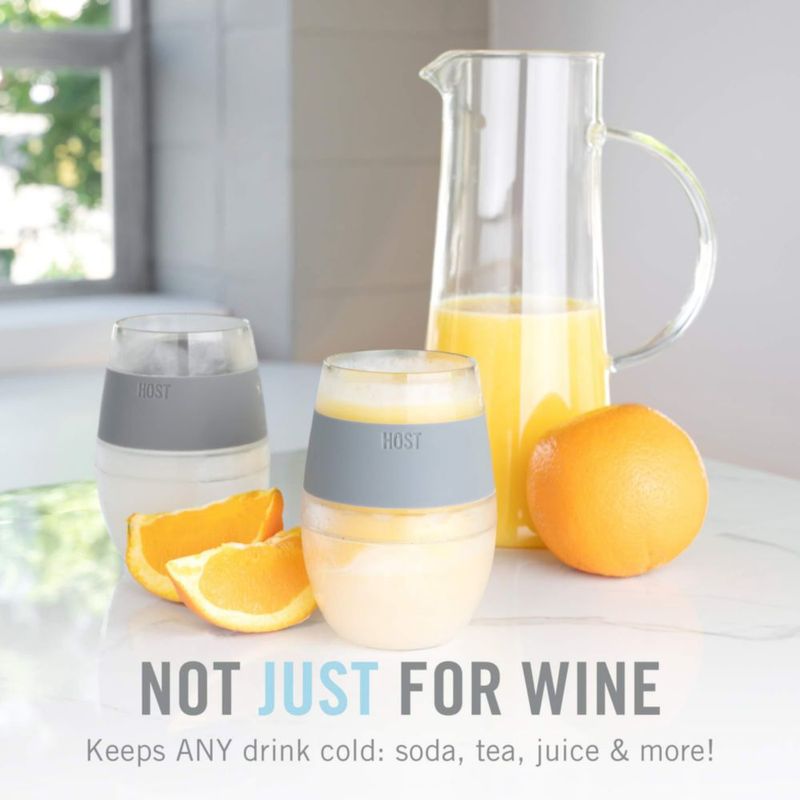 Vaso Térmico Host 240 ml Gris Congelable e Aislado
