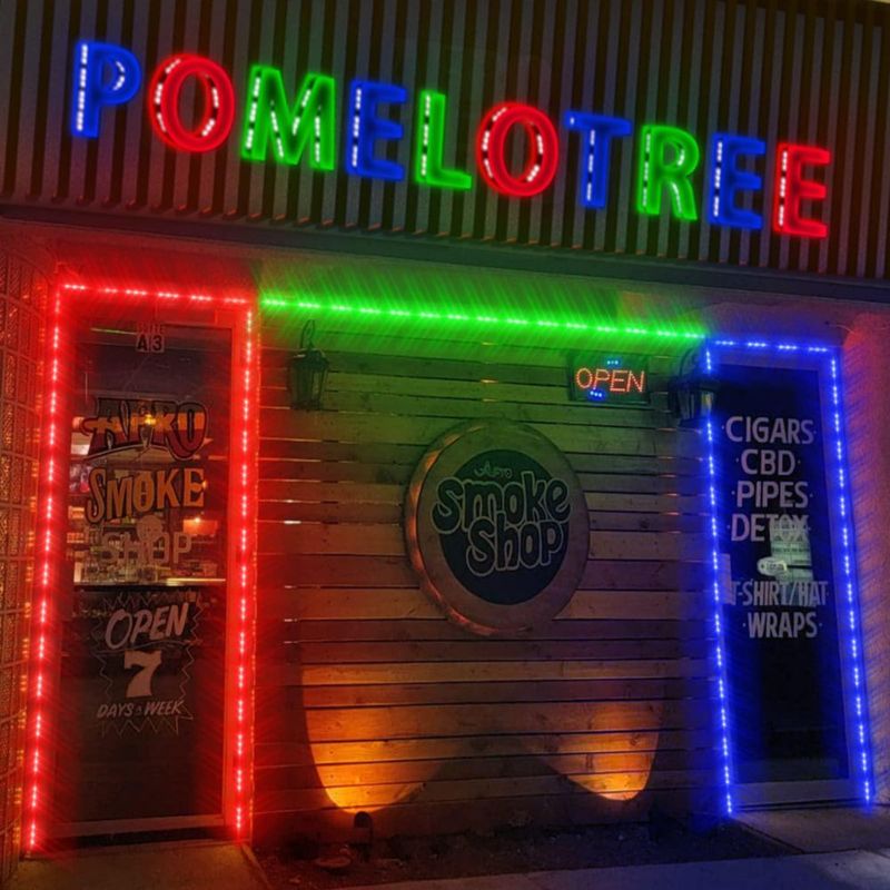 Luces LED para Ventana Pomelotree RGB Impermeables (Pack de 10)