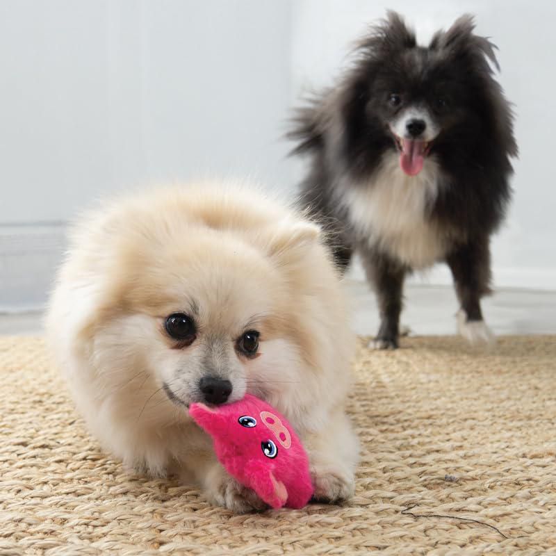 Juguete para Perro KONG Snuzzles Kiddos Mini Combo Rana y Cerdo