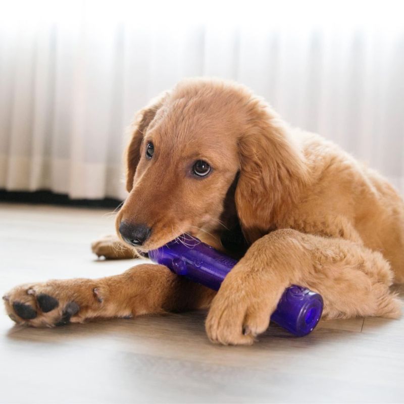 Juguete KONG Squeezz Crackle Stick para perros grandes