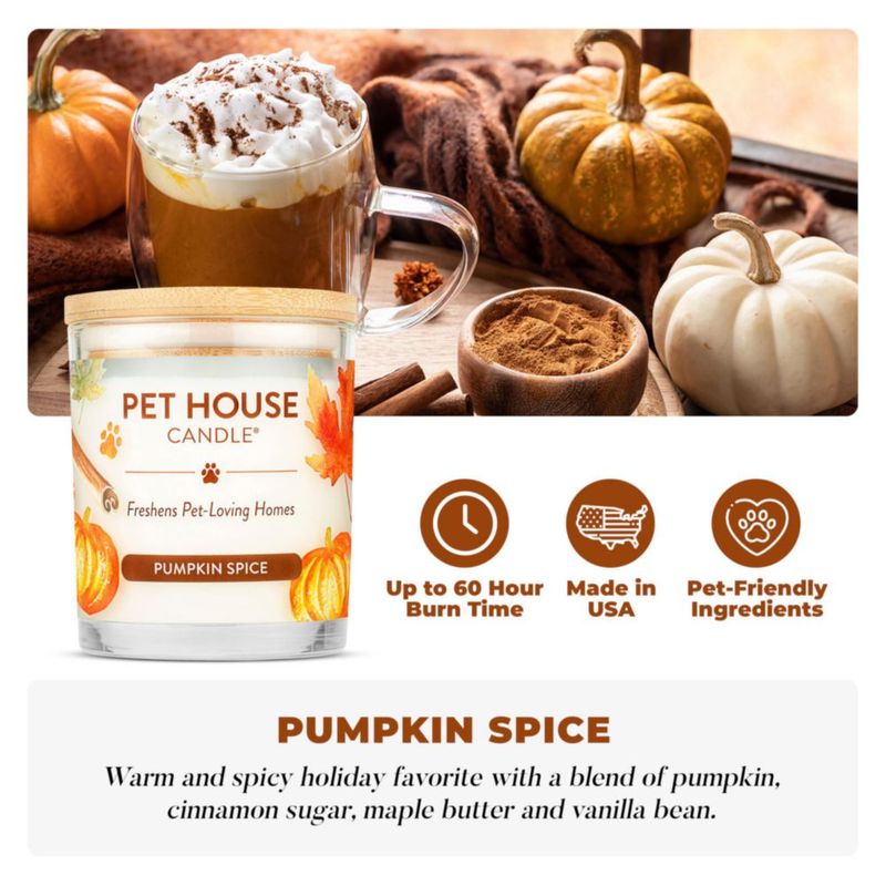 Vela One Fur All – Pack de 2 Pumpkin Spice a base de plantas