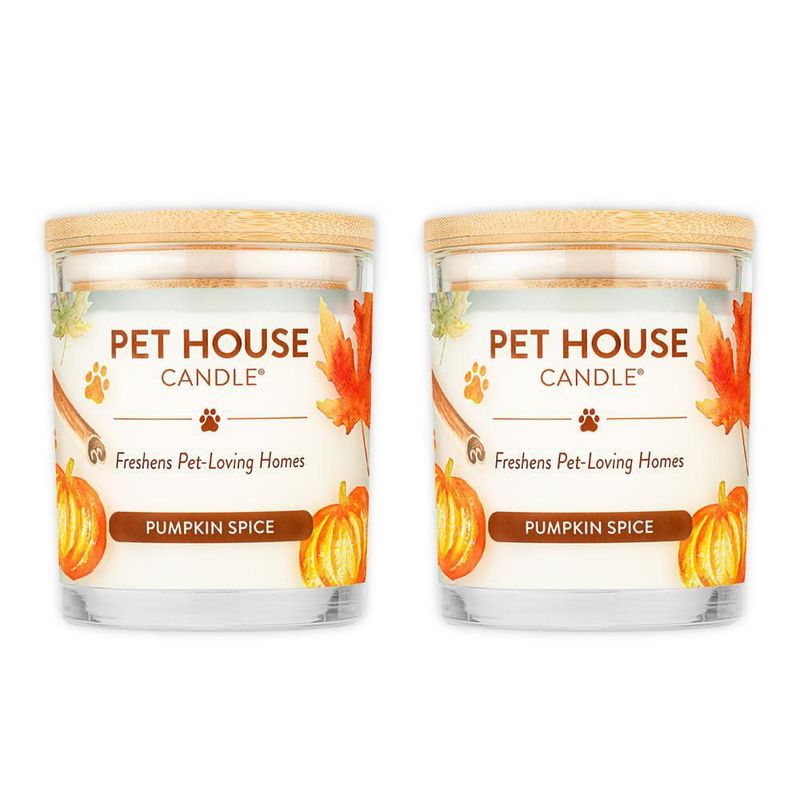 Vela One Fur All – Pack de 2 Pumpkin Spice a base de plantas