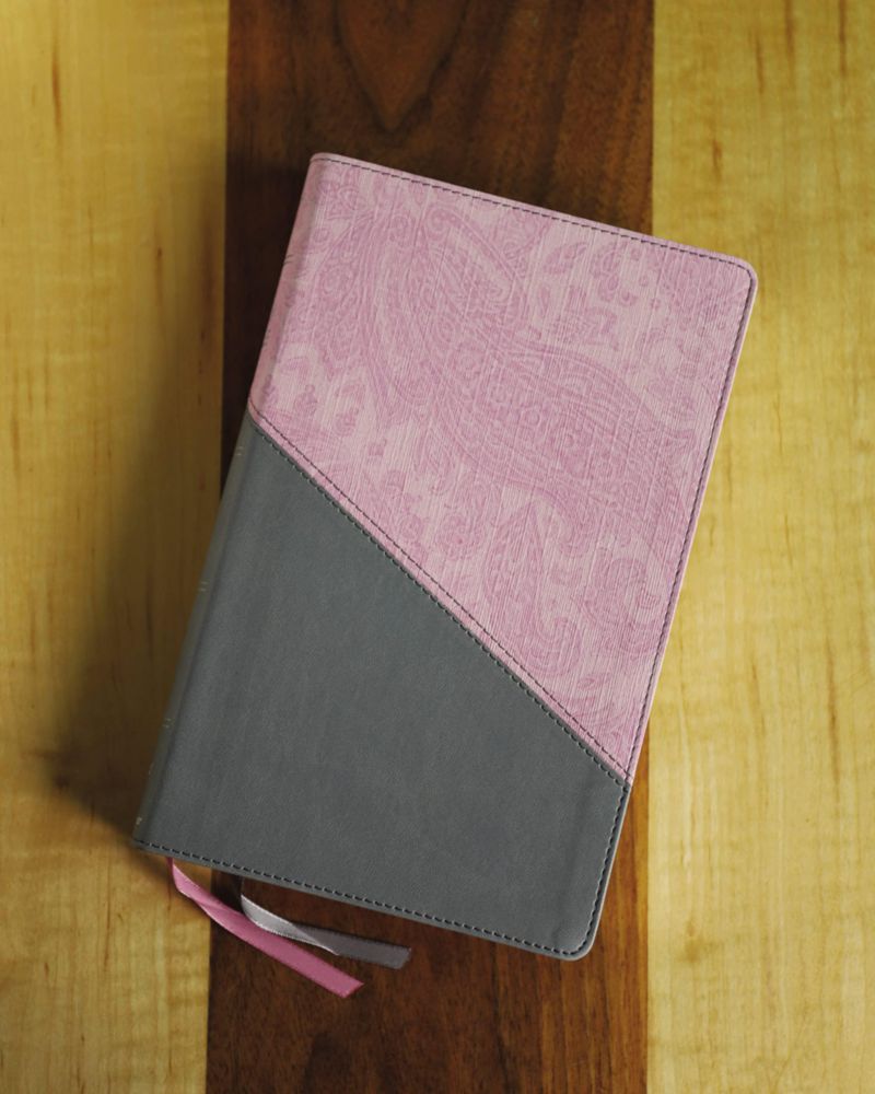 Biblia HarperCollins NIV de Gran Letra y Tapa de Cuero Suave