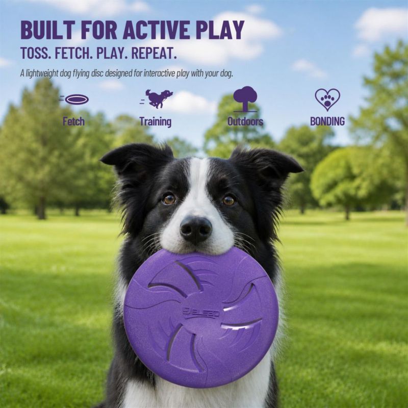 Disco volador para perros HONGEZEY 23 cm morado TPR