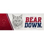 Mochila Broad Bay 45 cm 17" para Laptop – Arizona Wildcats