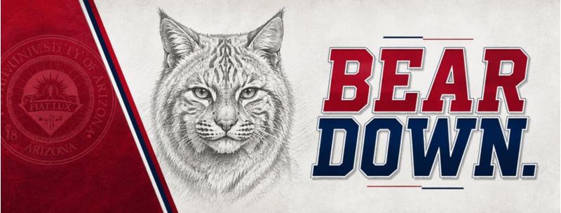 Mochila Broad Bay 45 cm 17" para Laptop – Arizona Wildcats