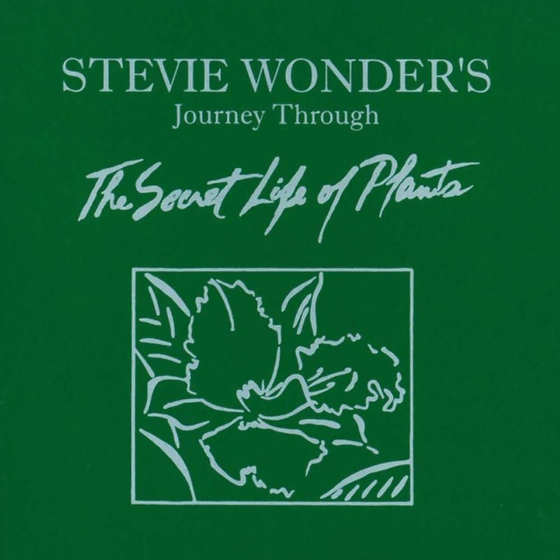 LP Motown: Viaje a través de la vida secreta de las plantas