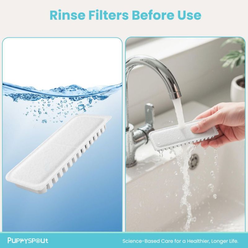 Filtros para fuente de agua para gatos Puppyspout 32 L (paquete de 10)