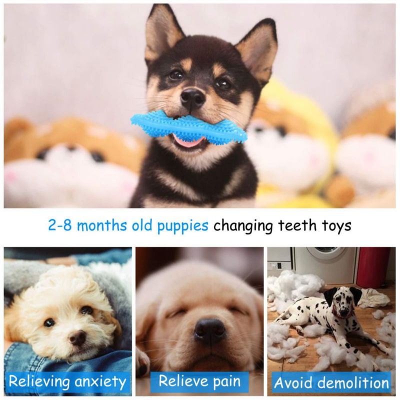 Juguetes de Masticar para Cachorros Hurray - Pack de 3 para la Dentición Perros Pequeños y Medianos