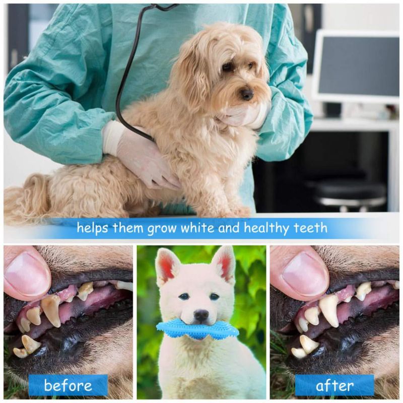 Juguetes de Masticar para Cachorros Hurray - Pack de 3 para la Dentición Perros Pequeños y Medianos