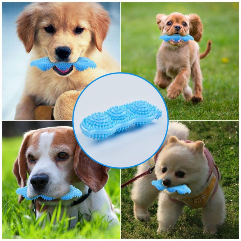 Juguetes de Masticar para Cachorros Hurray - Pack de 3 para la Dentición Perros Pequeños y Medianos