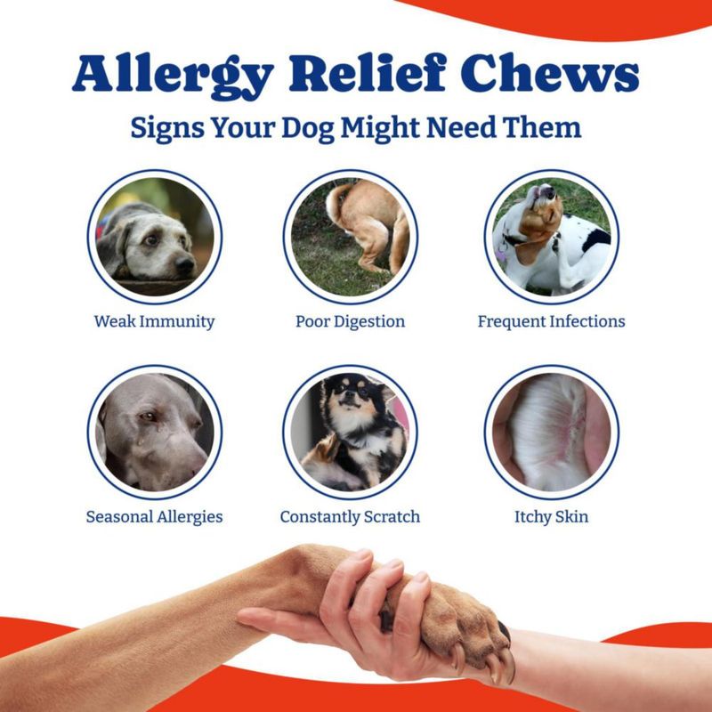Masticables para Alergias en Perros YoYoBay 180 uds Sabor Pato y Pera