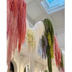 Planta Seca DongArts Amaranthus Verde 58‑81 cm (5 uds)