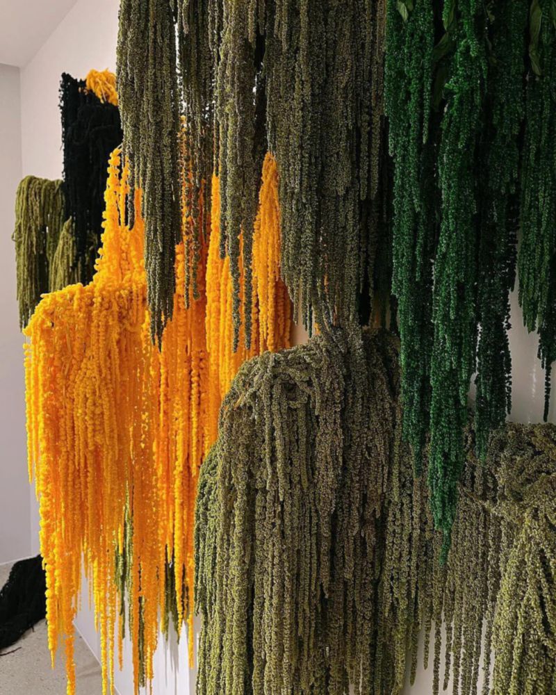 Planta Seca DongArts Amaranthus Verde 58‑81 cm (5 uds)