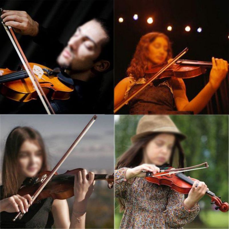 Colofonia Sound Harbor 2 unidades para violín viola y violonchelo