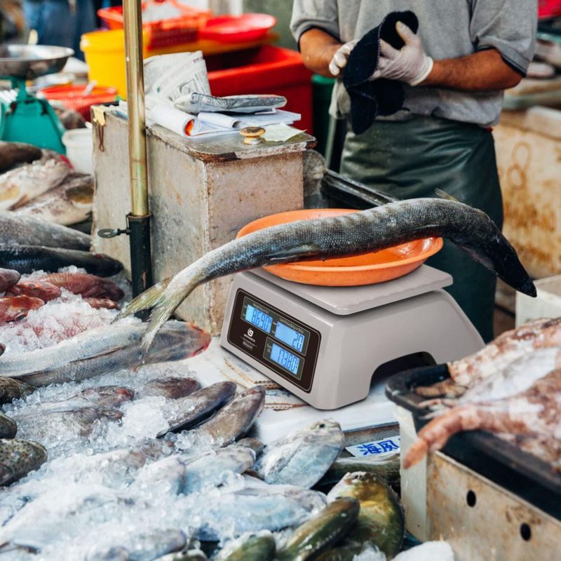 Balanza de alimentos BROMECH 30 kg impermeable con cálculo de precio