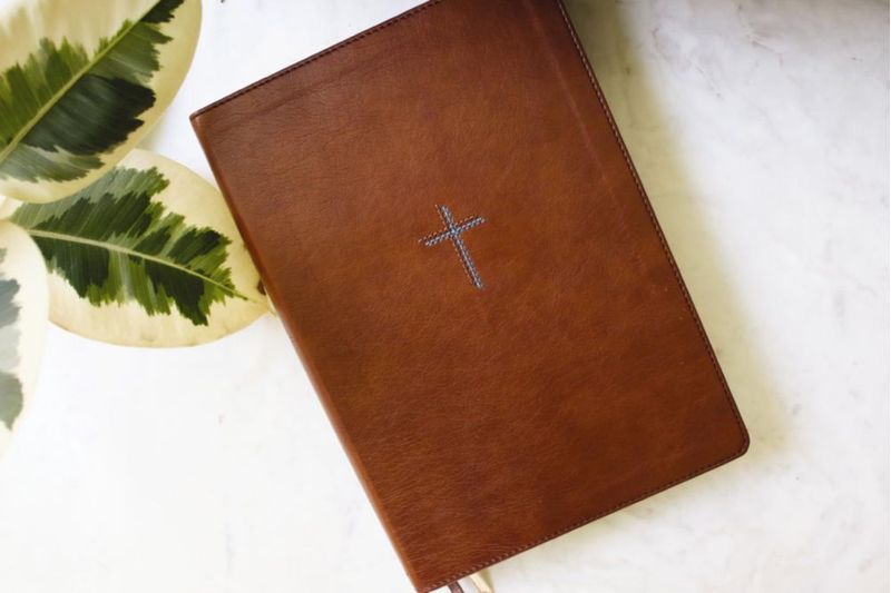 Biblia de estudio Zondervan NVI de letra grande con cubierta de cuero suave