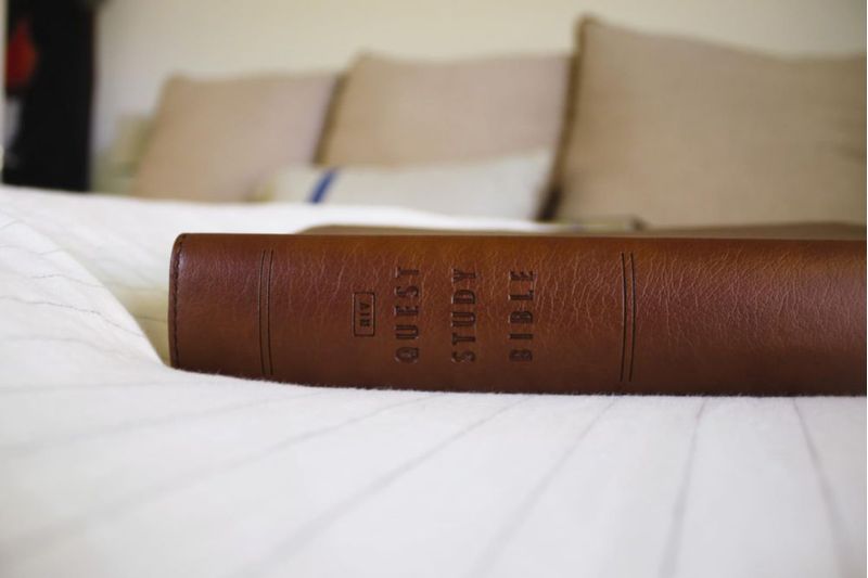 Biblia de estudio Zondervan NVI de letra grande con cubierta de cuero suave