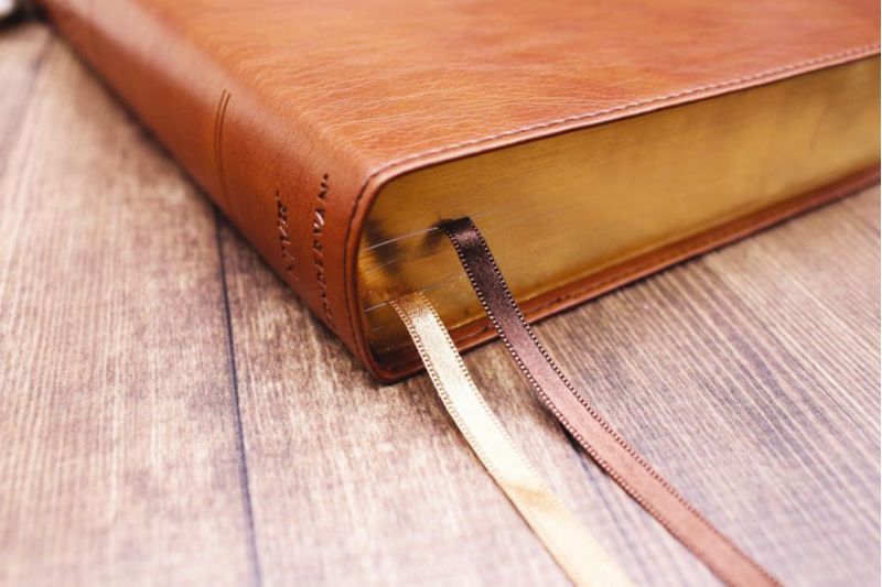 Biblia de estudio Zondervan NVI de letra grande con cubierta de cuero suave
