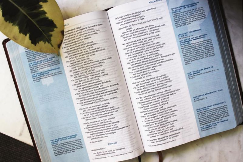 Biblia de estudio Zondervan NVI de letra grande con cubierta de cuero suave