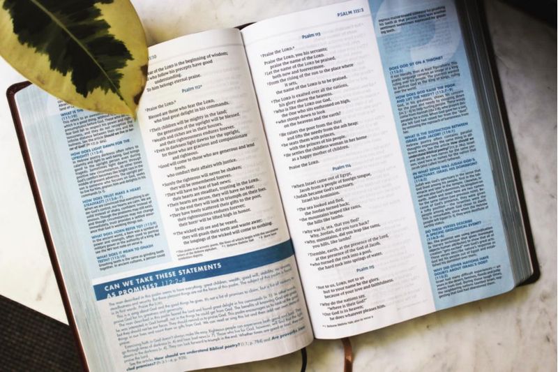 Biblia de estudio Zondervan NVI de letra grande con cubierta de cuero suave