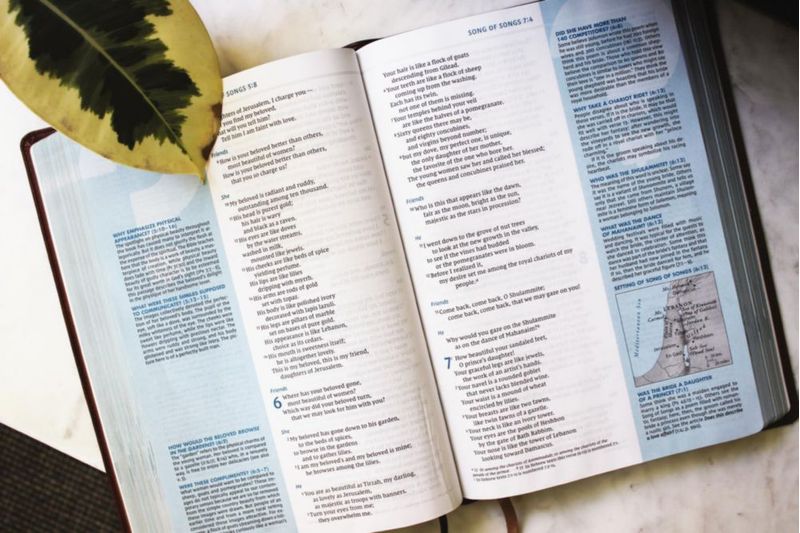 Biblia de estudio Zondervan NVI de letra grande con cubierta de cuero suave