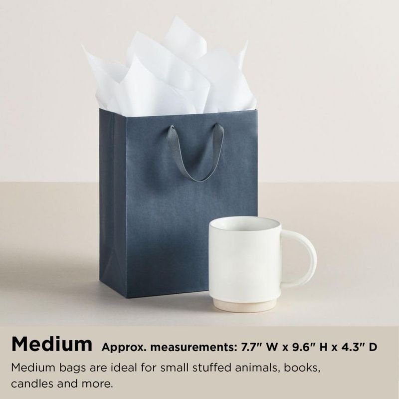 Bolsa de Regalo Hallmark 23 cm con Rayas de Purpurina Rosa y Papel de Seda