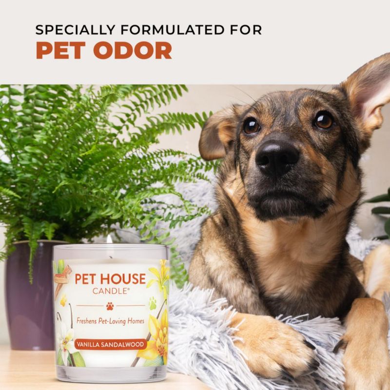 Vela One Fur All Pack de 2 - Vainilla y Sándalo