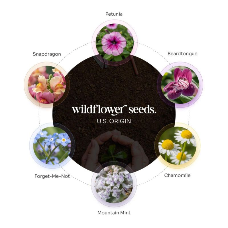 Etiquetas Conmemorativas Seed Bloom 48 uds. Colibrí blanco y negro