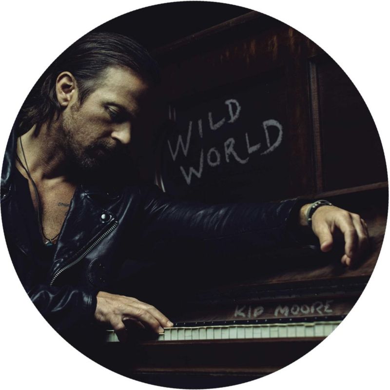 LP MCA Wild World (Disco de foto 2 LP)