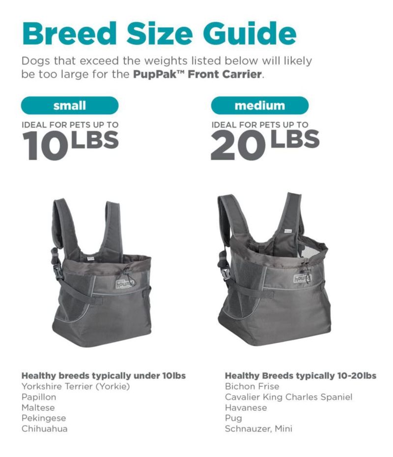 Transportín para perros Outward Hound pequeño 30 × 29 × 19 cm gris