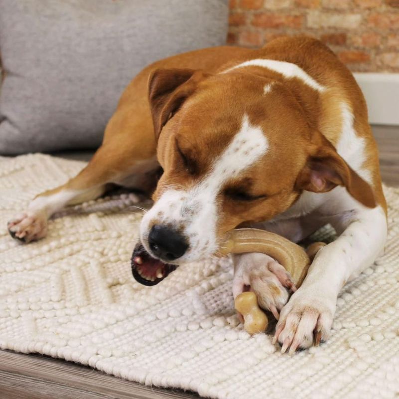 Nylabone Hueso de Masticar Wishbone Sabor Pollo - Tamaño Grande
