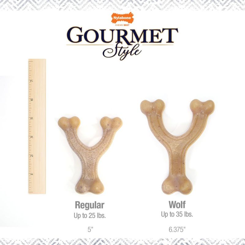 Nylabone Hueso de Masticar Wishbone Sabor Pollo - Tamaño Grande