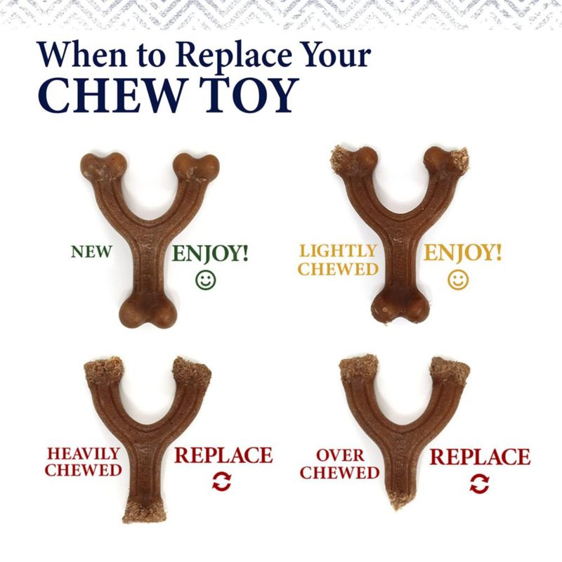 Nylabone Hueso de Masticar Wishbone Sabor Pollo - Tamaño Grande