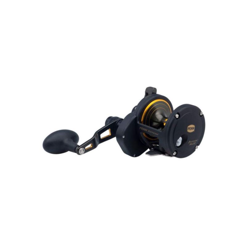 Carrete de pesca PENN Fathom 30LD2 negro con detalles dorados