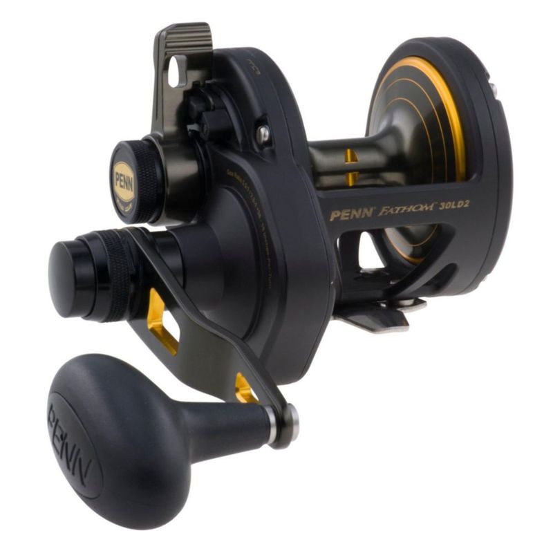 Carrete de pesca PENN Fathom 30LD2 negro con detalles dorados