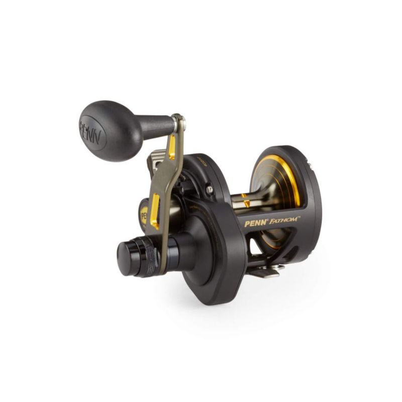 Carrete de pesca PENN Fathom 30LD2 negro con detalles dorados