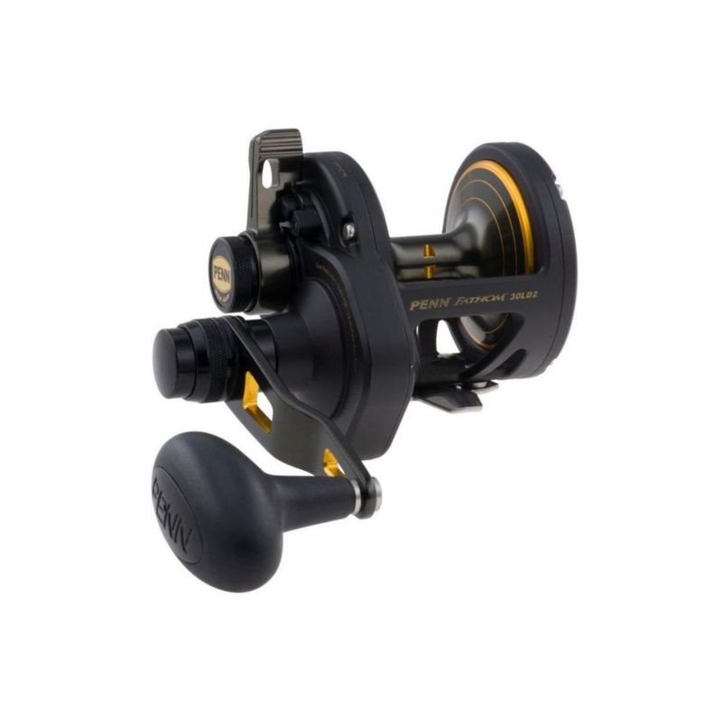 Carrete de pesca PENN Fathom 30LD2 negro con detalles dorados