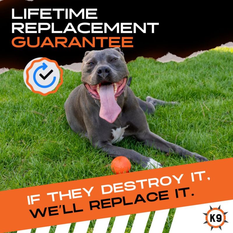 Pelota para Perro Monster K9 7 cm Indestructible Naranja