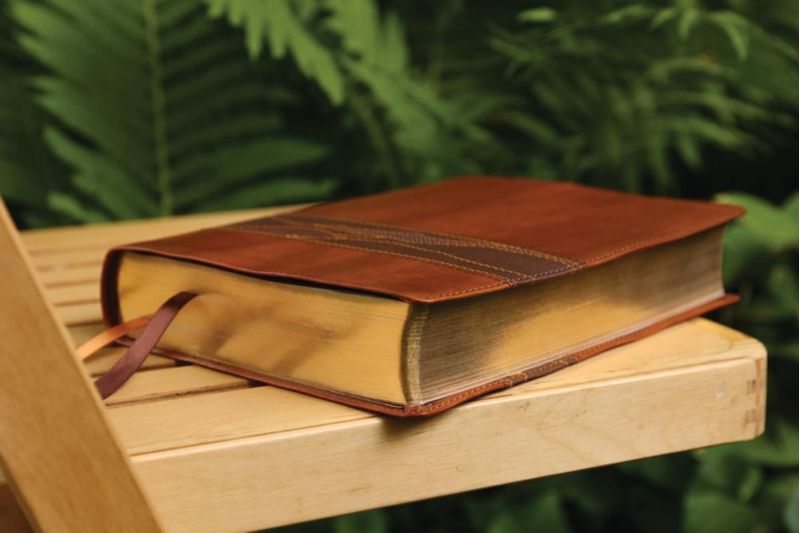 Biblia Zondervan NVI para Hombres con Cubierta de Cuero Suave Marrón