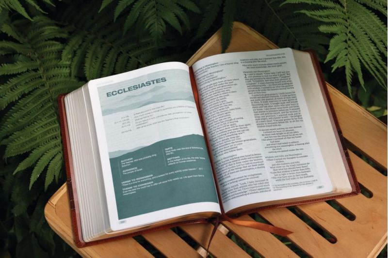 Biblia Zondervan NVI para Hombres con Cubierta de Cuero Suave Marrón