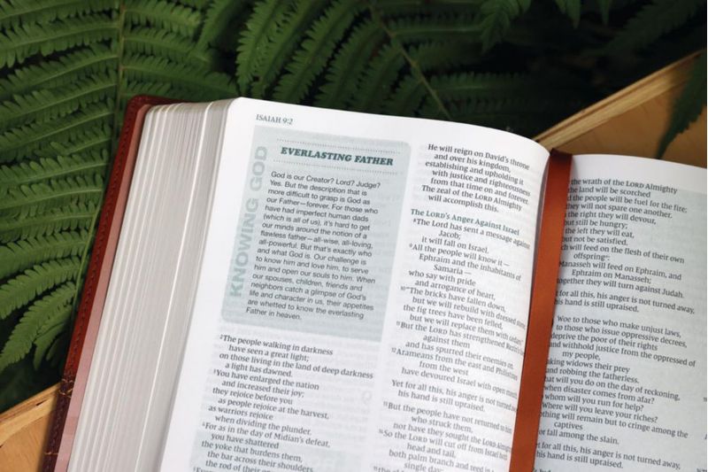 Biblia Zondervan NVI para Hombres con Cubierta de Cuero Suave Marrón